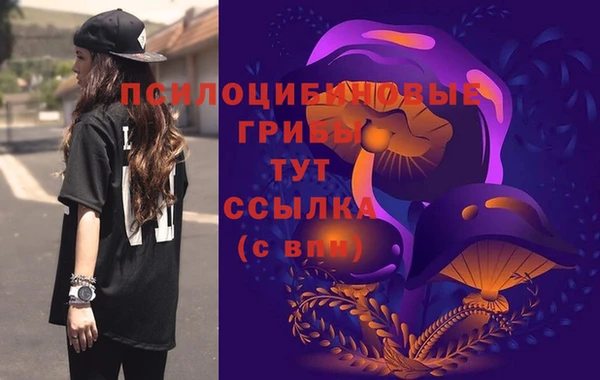 2c-b Абинск