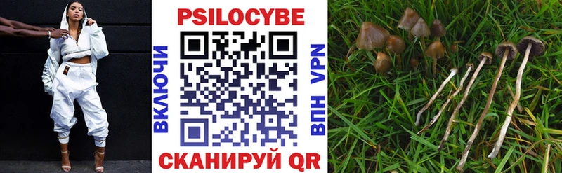Псилоцибиновые грибы прущие грибы  blacksprut ССЫЛКА  Руза 